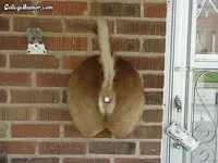 redneck doorbell escutcheon.webp