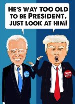 Biden and Trump_cover.jpg