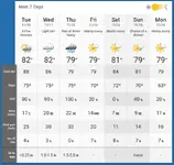 Screenshot_2020-11-09 Tarpon Springs, Florida 7 Day Weather Forecast - The Weather Network.webp