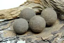 concretion 2.webp