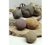 concretion 3.webp