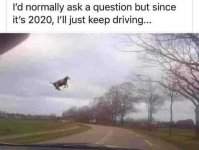 normally-ask-question-since-its-2020-just-keep-driving-cow-flying.jpg