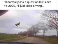 normally-ask-question-since-its-2020-just-keep-driving-cow-flying.webp