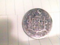 spanish silver back.jpg