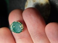 Small Piece of round lead painted green - Front.jpg