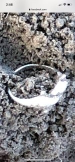 Silver Dolphin Ring.jpg