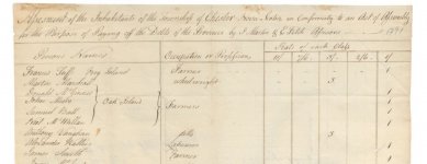 Poll tax records 1791.JPG
