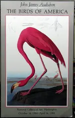 Audubon 1.webp