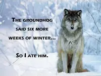 groundhog.webp