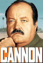 cannon.webp