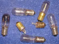 7-01-08 009bulbs.webp