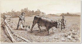 Ploughing_with_Oxen.jpg