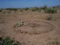 100_0045 Medicine wheel.webp