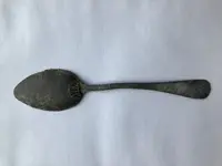 20210327 Full Spoon after finding handle (back).webp