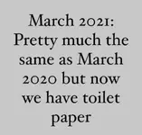 toilet paper.webp