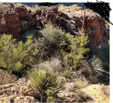 red dacite outcrop.webp