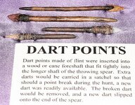 darts.jpg