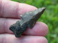 Arrowheads_Asphaltum1.jpg