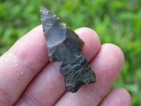 Arrowheads_Asphaltum3.jpg