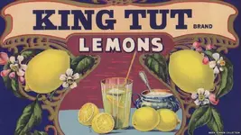 _76492140_king_tut_lemons__private_collection.webp