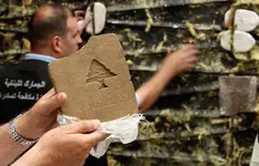 Lebanese-hashish-stamped-with-the-distinctive-cedar-tree-symbol.webp