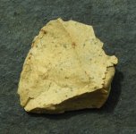 08-21 finds fossil 1.JPG