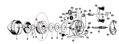 reel 33.webp