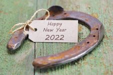 happy-new-year-horseshoe-happy-new-year-horseshoe-231383972.jpg