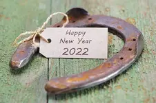 happy-new-year-horseshoe-happy-new-year-horseshoe-231383972.jpg