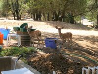 screening helpers 8-23-2008 1-42-39 PM.JPG