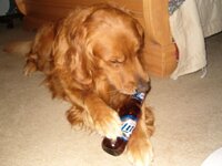 buddy with beer.jpg