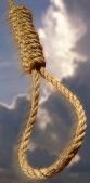 The Noose (83 x 169).jpg