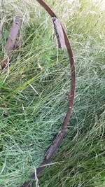 Wagon wheel rim in grass.jpg