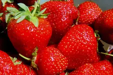 Strawberries_sml.webp