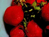 Strawberries_Edge_sml.webp