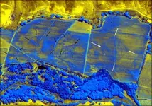 Sat image pyramid.webp