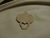 Masonic Clip before cleaning.jpg