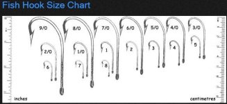 Fish Hook Sizes charts.jpg