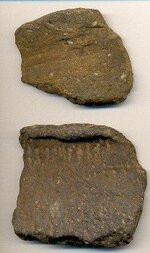 Duncombe crk pot sherds.jpg