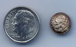 Shrunk dime.webp