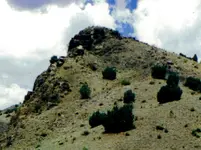 NM-desert-peak_top.webp