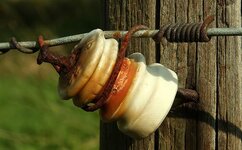 electric fence insulator.jpg