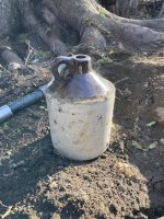 Stoneware jug in the privy hole.JPG