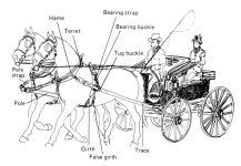 horsegear_buggy-harness-charts-pair_TN_postedbyVillagenut_20171126_.jpg