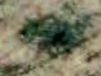 GoogleEarth_Image.jpg