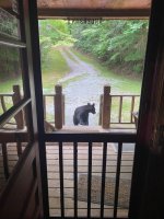 Black Rock Mnt. - Rabun Co. Ga. 7-7-2024 (1).jpg