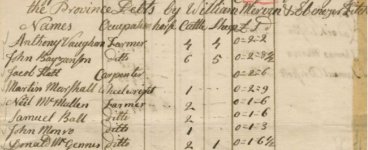 pool tax record 1793.JPG