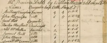 pool tax record 1793.JPG