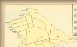 Newport Map.webp