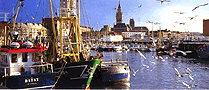 visit-dunkerque-fishport.gif